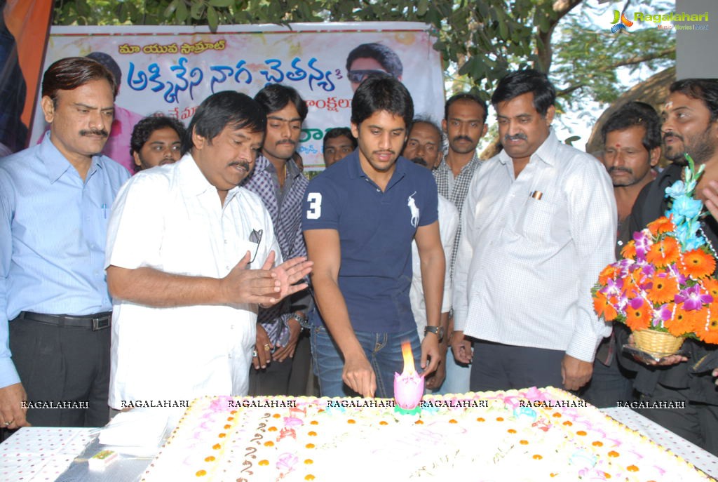 Naga Chaitanya Birthday Celebrations 2011