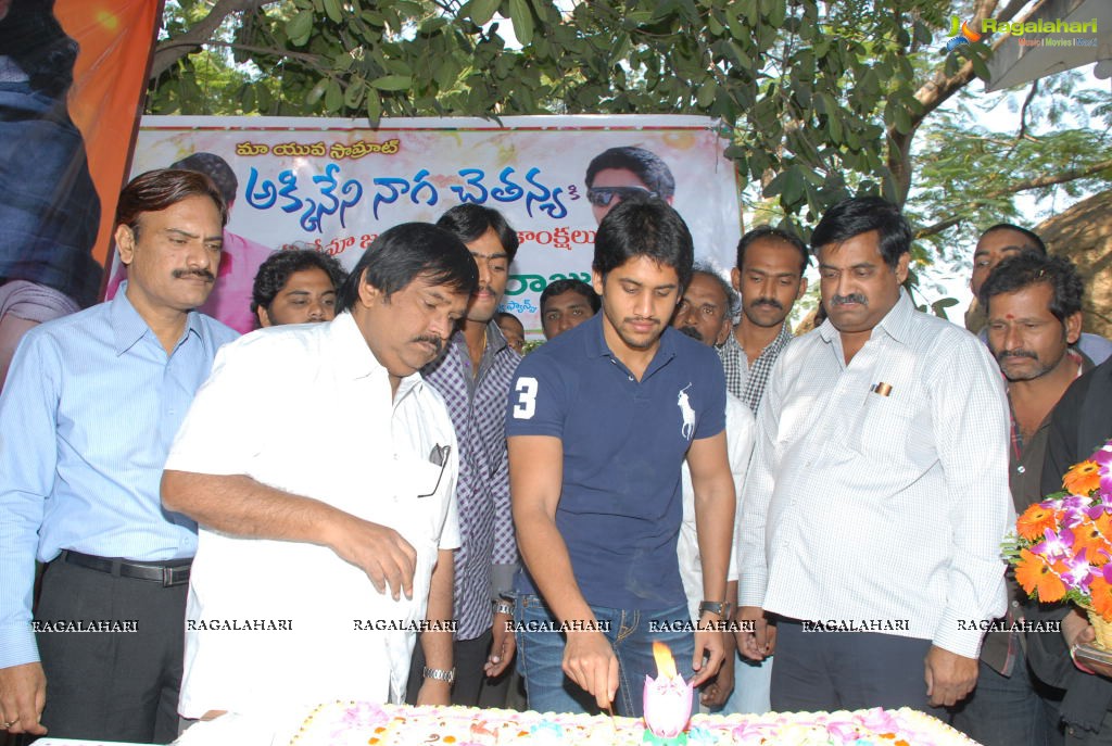 Naga Chaitanya Birthday Celebrations 2011