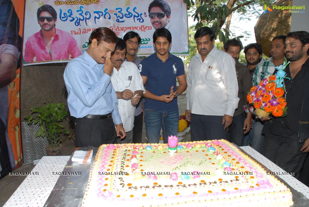 Naga Chaitanya Birthday Celebrations 2011
