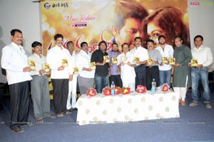 Nanda Nanditha  Audio Release