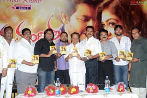 Nanda Nanditha  Audio Release