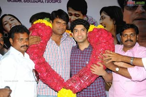 Nuvvila Success Meet