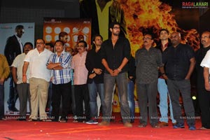 Panjaa Audio Release