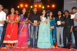 Panjaa Audio Release