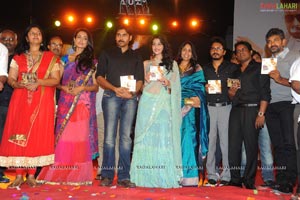 Panjaa Audio Release