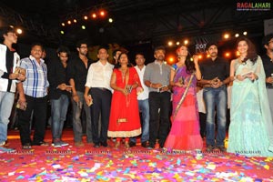 Panjaa Audio Release