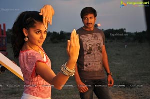 Gopichand, Tapsee, Shradha Das