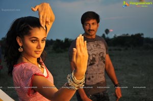 Gopichand, Tapsee, Shradha Das