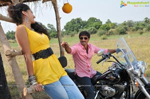 Gopichand, Tapsee, Shradha Das