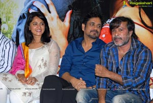 Dhamarukam Success Meet