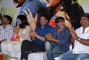 Dhamarukam Success Meet