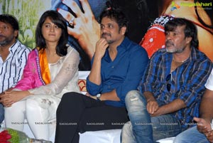 Dhamarukam Success Meet