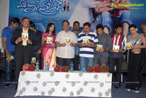 Made in Vizag Music Launch