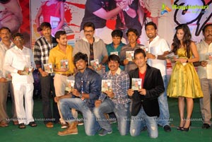 Anand Cine Chitra Race Audio Release Function