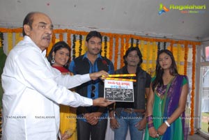 Vijaya Krishna Productions