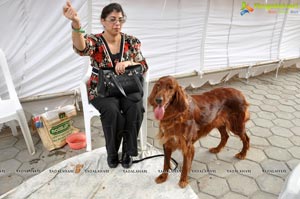 Pet Show Hyderabad