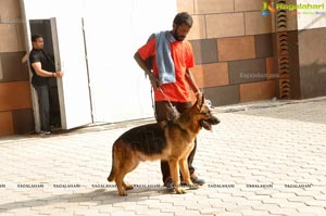 Pet Show Hyderabad