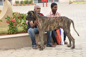 Pet Show Hyderabad