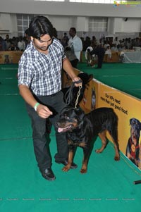 Pet Show Hyderabad