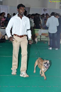 Pet Show Hyderabad