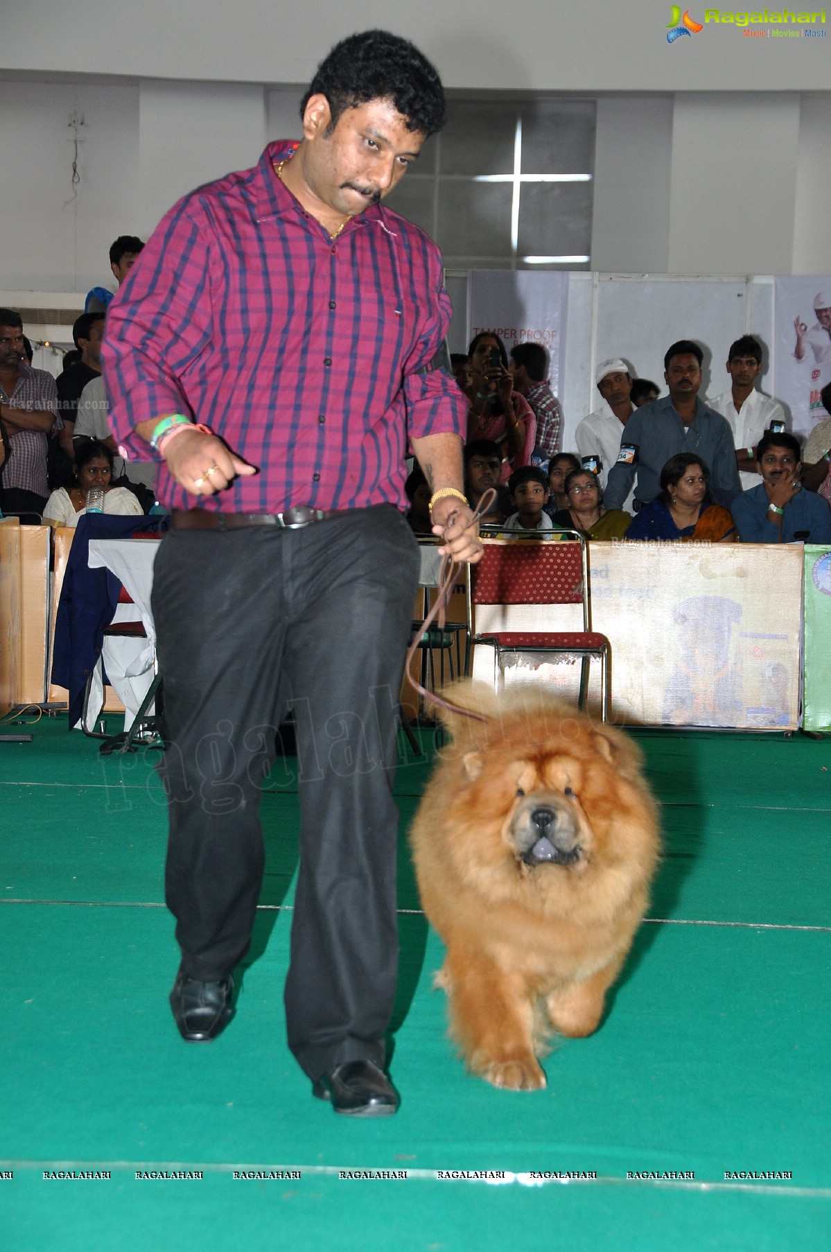 Hyderabad Canine Club's HyCan’12 Dog Show at HITEX