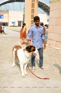 Pet Show Hyderabad