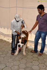 Pet Show Hyderabad