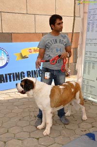 Pet Show Hyderabad