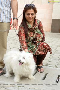 Pet Show Hyderabad