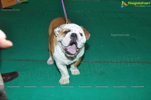 Pet Show Hyderabad