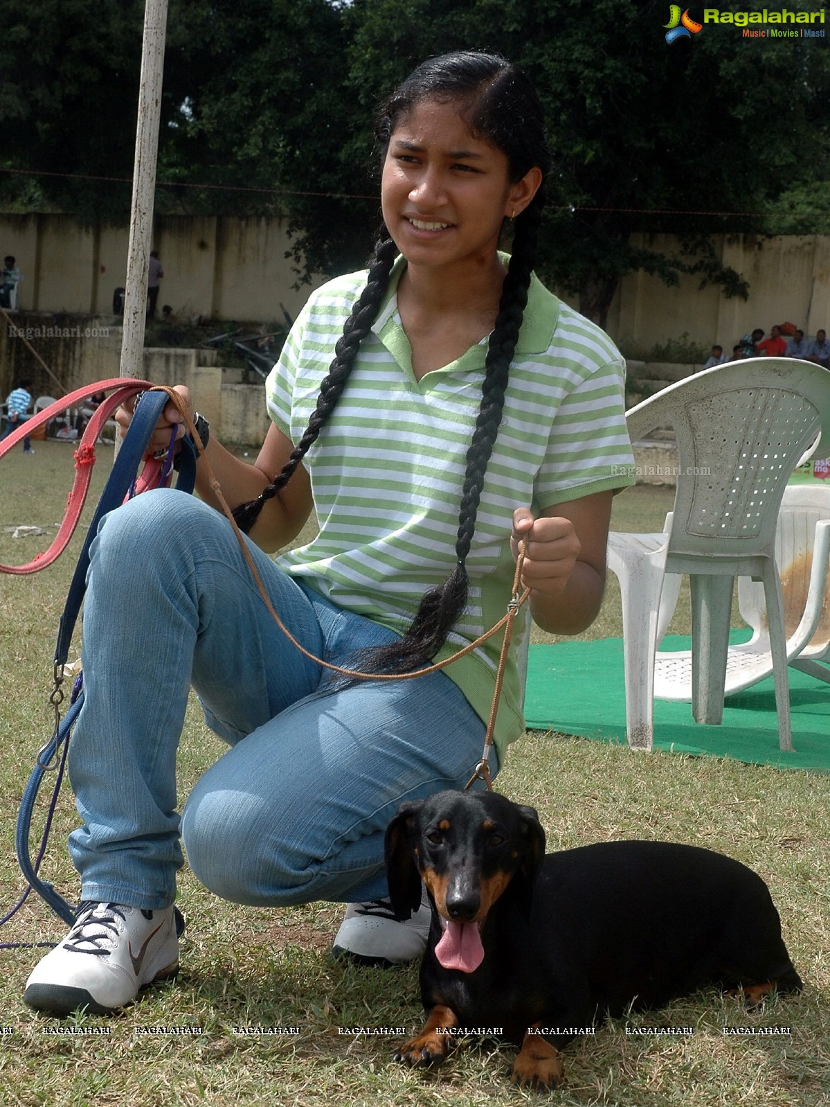 Dogs Day Out - Championship Dog Show, Secunderabad