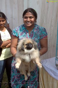 Hyderabad Pet Dogs