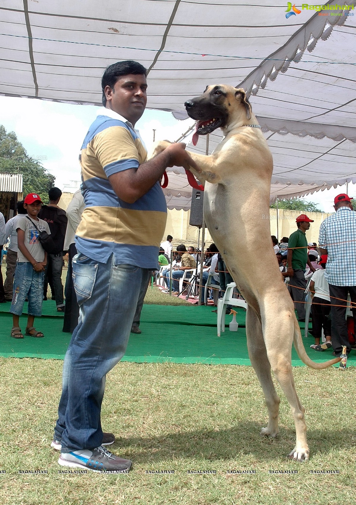 Dogs Day Out - Championship Dog Show, Secunderabad