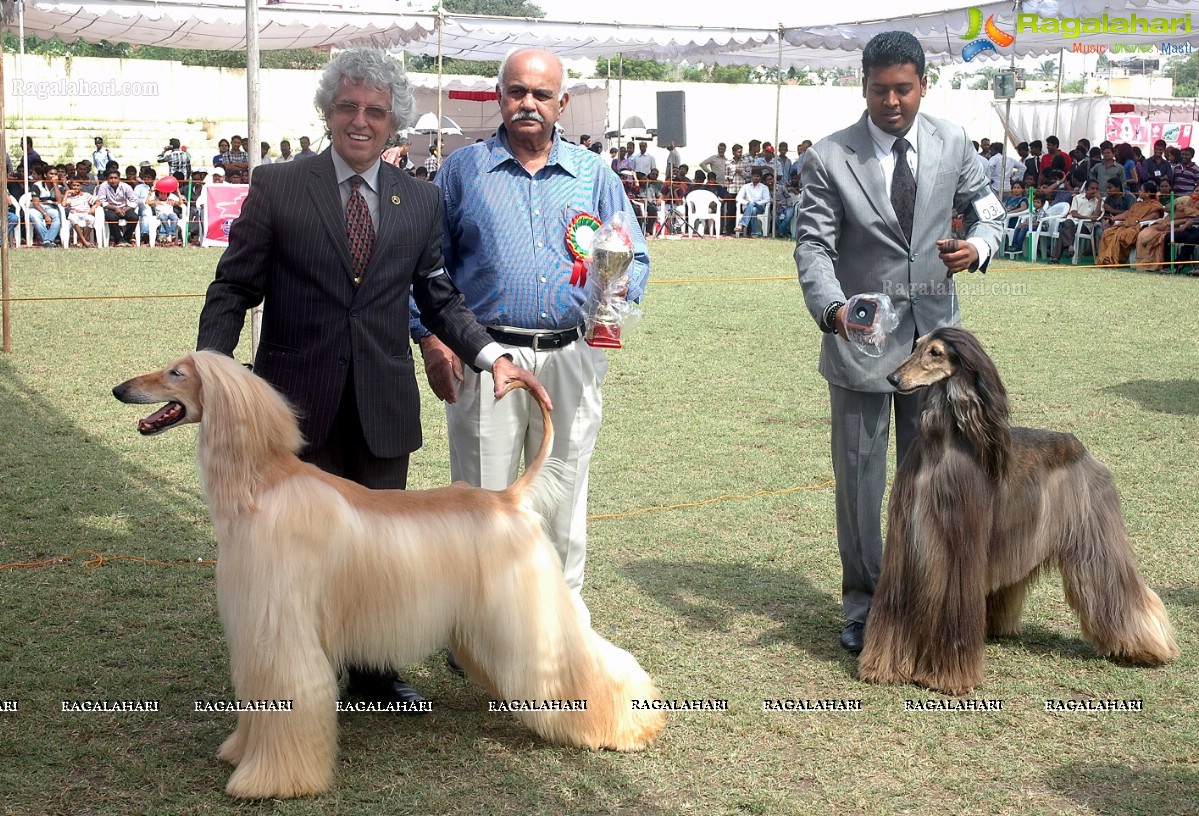 Dogs Day Out - Championship Dog Show, Secunderabad