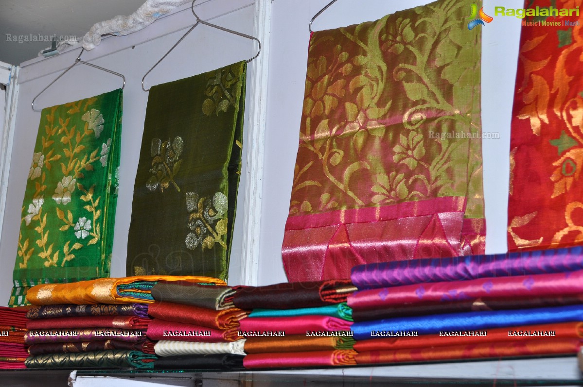 Regina launches D'sire Exhibition & Sale (November 2012) at Taj Krishna, Hyderabad