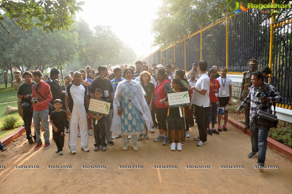 SIA Walk in the support of Bird Freedom