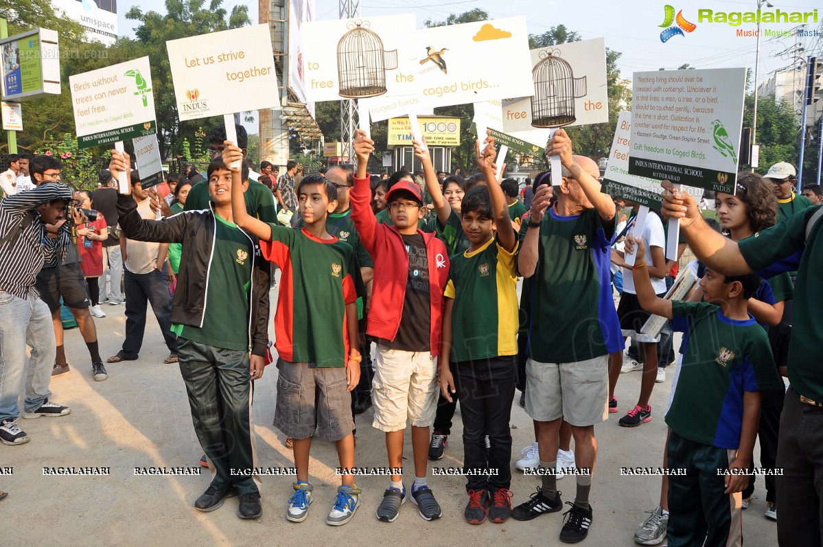 SIA Walk in the support of Bird Freedom