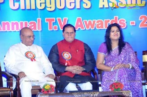 TSR AP Cinegoers Annual TV Awards 2011