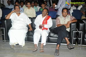 Pratinidhi Audio Release