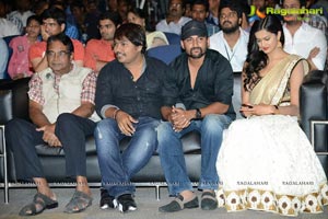 Pratinidhi Music Launch