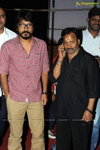 Aata Arambham Audio Launch