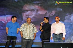 Aata Arambham Audio Launch