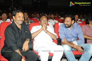 Aata Arambham Audio Launch