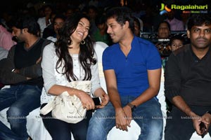 Bunny n Cherry Audio Release