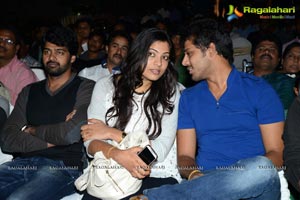 Bunny n Cherry Audio Release