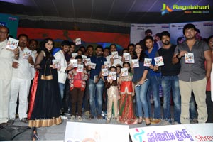 Bunny n Cherry Audio Release