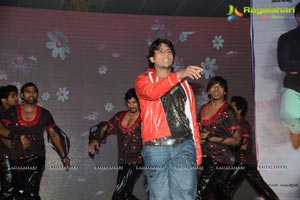 Bunny n Cherry Audio Release