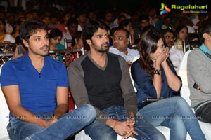 Bunny n Cherry Audio Release