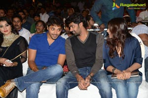 Bunny n Cherry Audio Release