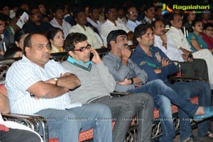 Bunny n Cherry Audio Release